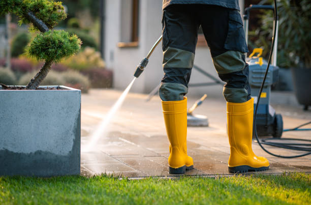 Best Roof Pressure Washing  in East Stroudsburg, PA